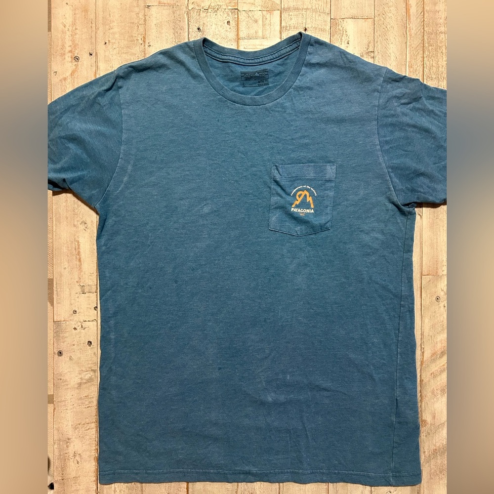 Patagonia Mens Slim Fit T-Shirt